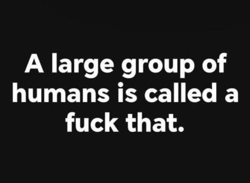 IMG_20250921_141954_472