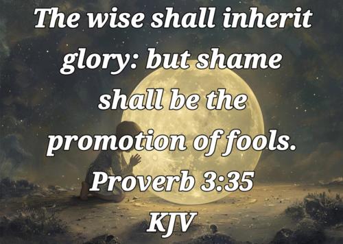 5a01167b-b75e-48c1-b8cf-2b95dadb3b25