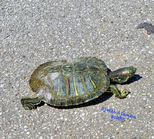 Screenshot_20250927_144639_Gallery