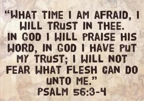 e7b4907f-ceff-4f50-a31b-c9a254f0cc86