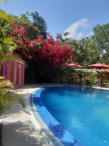 FB_IMG_1738812669921