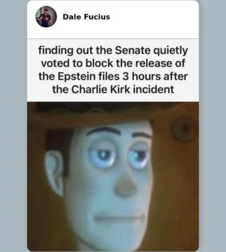 Screenshot_20250913_031919_Facebook