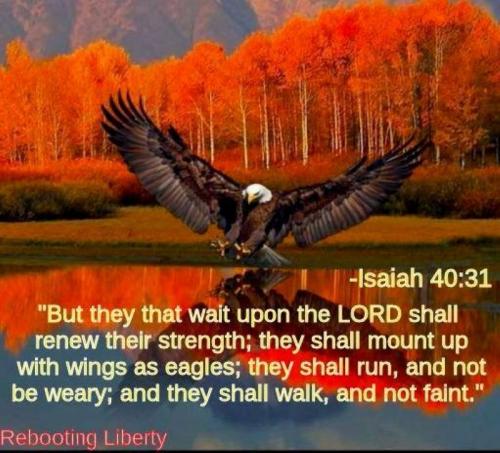 Isaiah 40.31 (1)