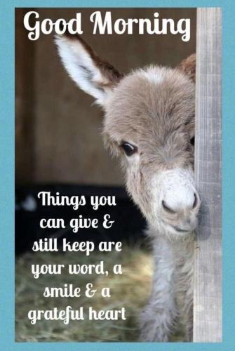 546221484_1385235853374970_4585684793305862663_n