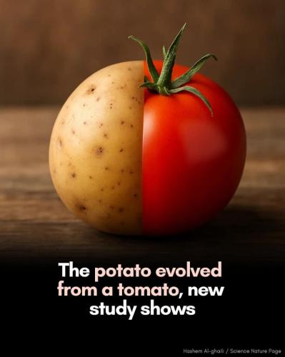 157853b8-a88e-4e2d-a51f-0b97d8ab1dda