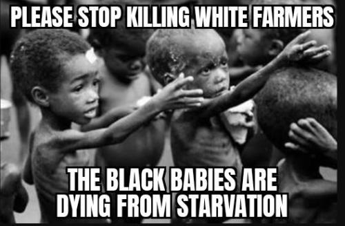 ZomboMeme 23052025221256