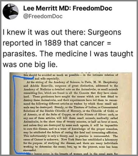 541617651_18525596611041771_8379913335966858330_n