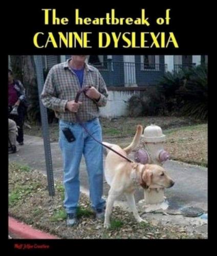 Screenshot_20250915_144851_Gallery