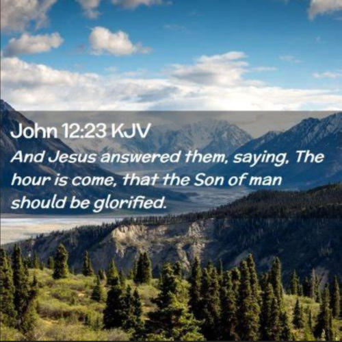 Screenshot_20250919-202850-961