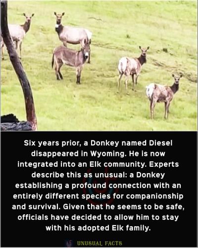 FB_IMG_1757344565337