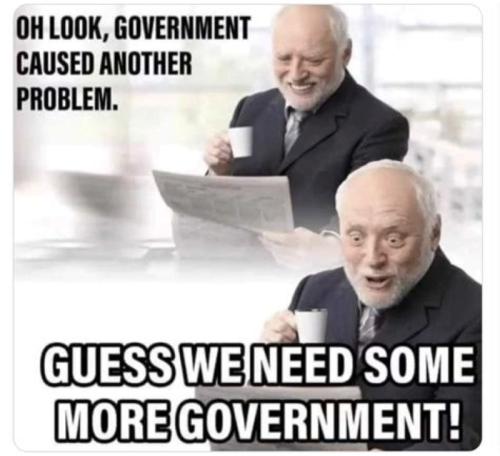 More Government