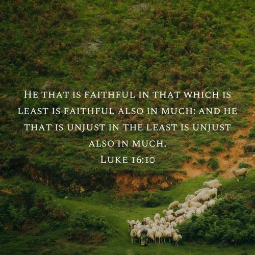 1C7F81A4-BE11-42CF-A570-DE044814EC29