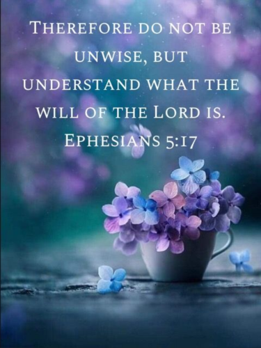 Screenshot_20250906-213201-045