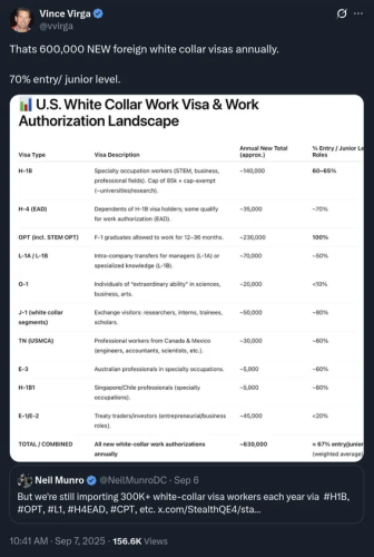 Stop ALL FOREIGN WORKER VISAS NOW !