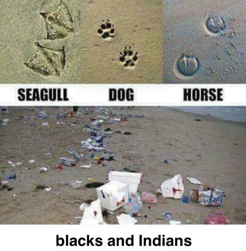 IMG_20250916_073256_606