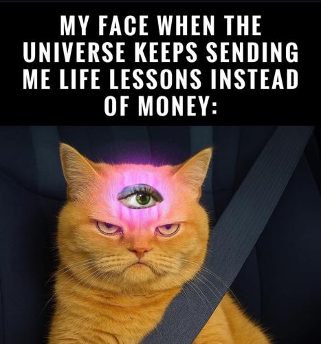 IMG_20250911_193503_339