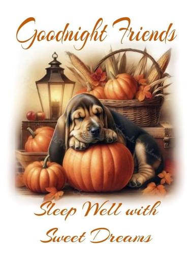 557666808_18026190182743683_266774729538166857_n