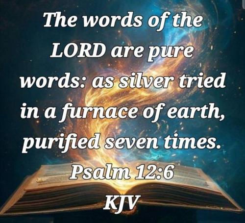 a929bafe-c6b1-4c11-8fdd-f5cfcfc27a37