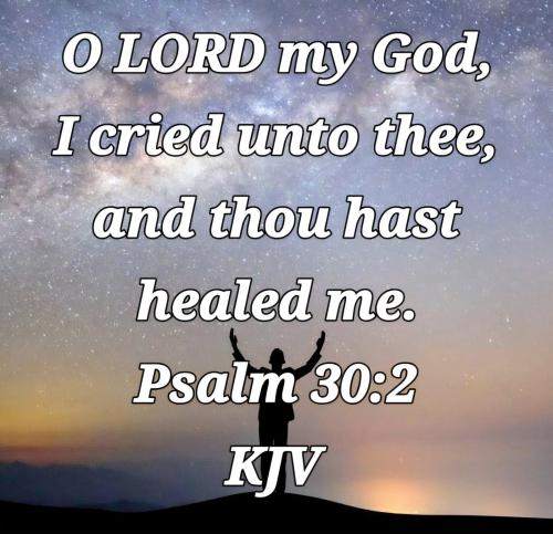 cb5b0bd3-3d3a-4612-b9ed-dbea5d789b69