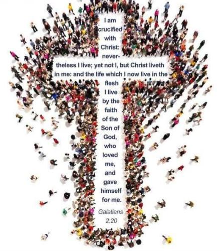 35ca4b34-485e-4a24-97db-39088706d206