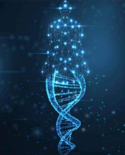 ,     ,           328625073_1312793