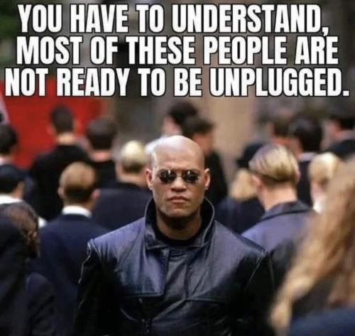 Screenshot_20250918_084221_Wimkin Free Speech Social Media