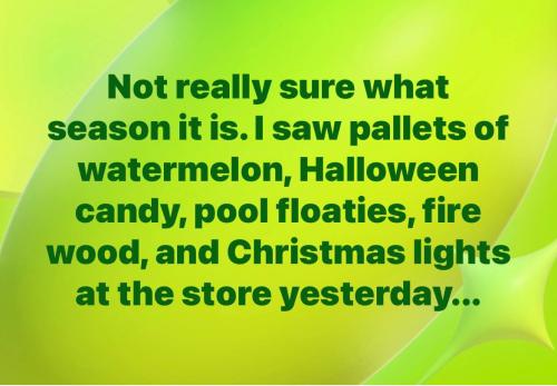 IMG_20250907_205159_339