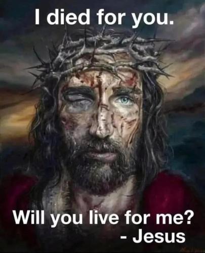 IMG_20250918_192550_350