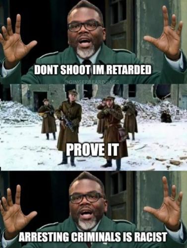 1d834320-8fe1-4039-abe5-a52c007b630b_513x680