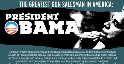 obama guns