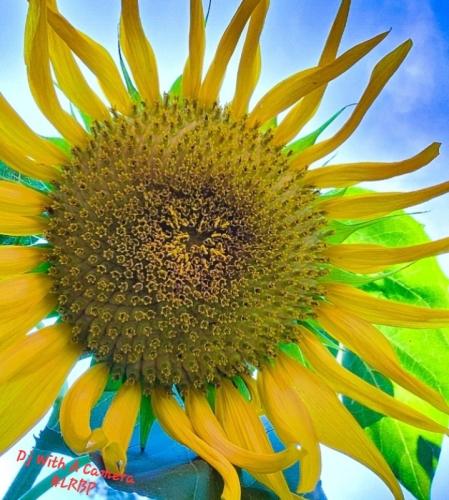 Screenshot_20250925_081853_Gallery