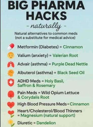 ,          ,  0424775766_746362