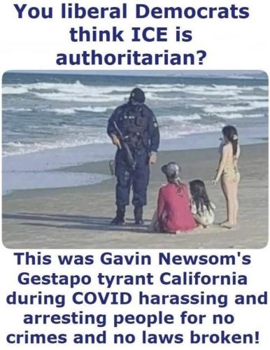California Gestapo 1