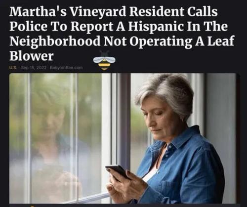 martha's-vineyard-report-illegal