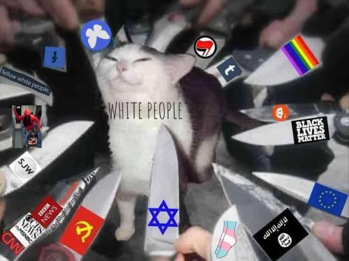 Low-download (3)-low resolution v2-1.4x