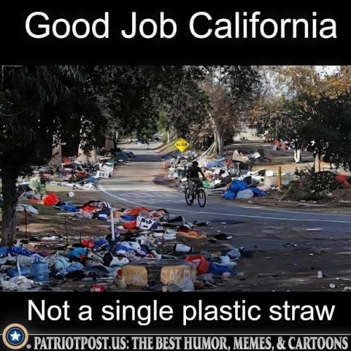 01K4C1W95A4XD8ZMBFCDQNRY2B