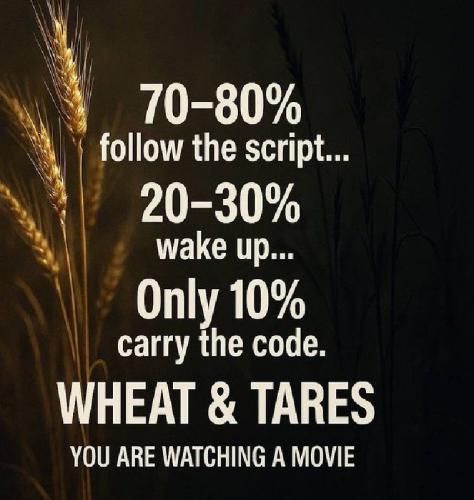 IMG_20250901_014657_823