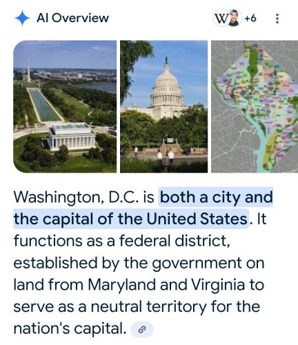 Screenshot_20250905_114230_Google(1)