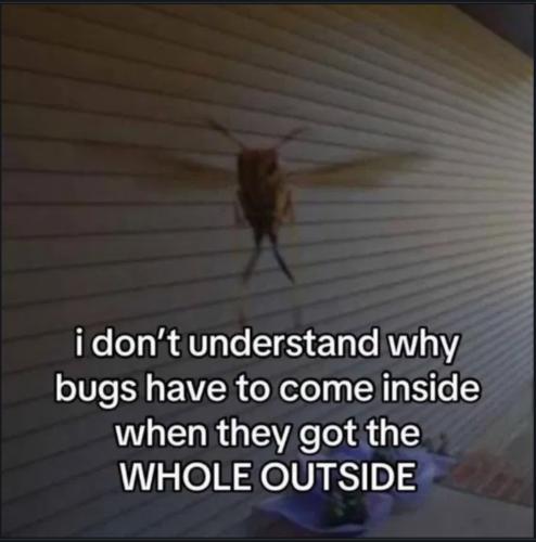 23:50:32 GMT-0400