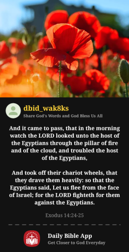 2025-09-221758560106757