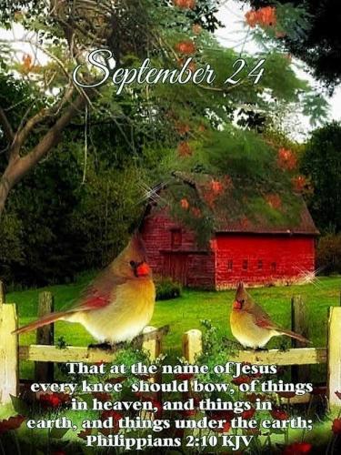 553295870_18025569458743683_925938850732652729_n