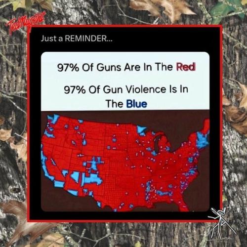 blue state gun vio