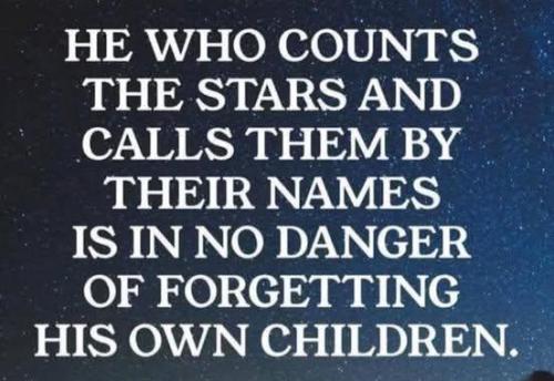 b358699d-ca13-4b2e-ad9e-bc6b8b48e01a