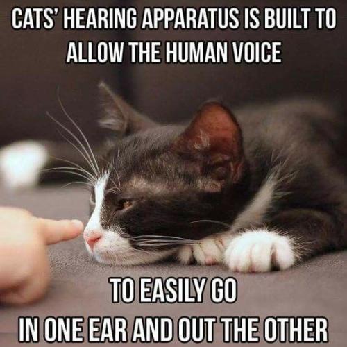 21e58ab54f777f5479f8349b5b92a295