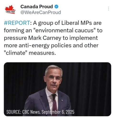 environmental caucus