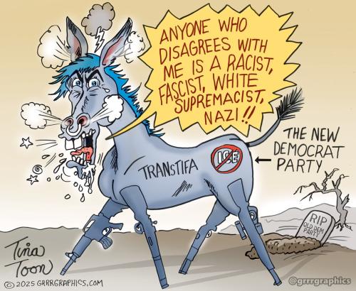 new_democrat_party-tina-toon-2025-1536x1261