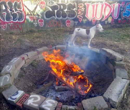 Screenshot_20250904_173507_Photos~2