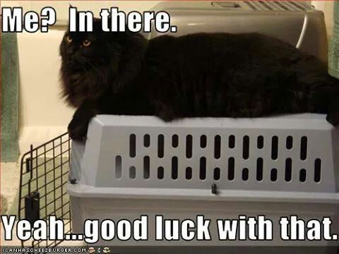 125237d4cbb0a5d73b60d635787fb70b