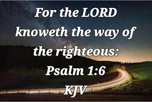 9a8e614d-de62-46db-8c06-358ae52c62e1