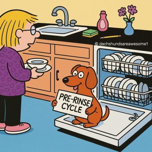 481fac0f238427cda345334057b90ba0